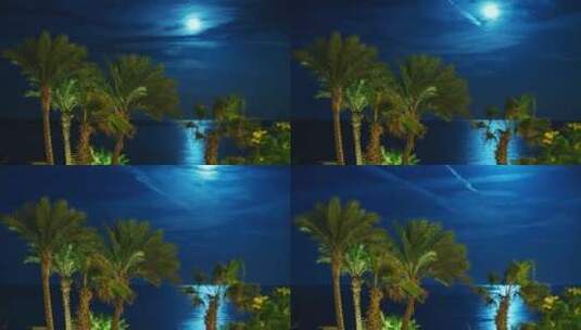 热带海岸上空升起的月亮高清在线视频素材下载