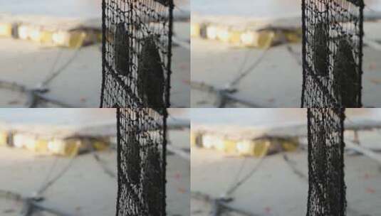 珍珠农场的网蛤特写高清在线视频素材下载