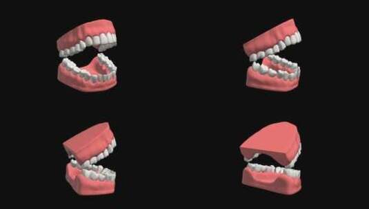 口腔牙齿张开三维展示4k带通道高清在线视频素材下载
