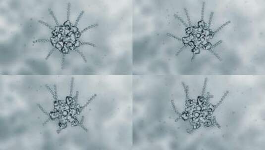 生物科技三维动画展示细胞变化1高清在线视频素材下载