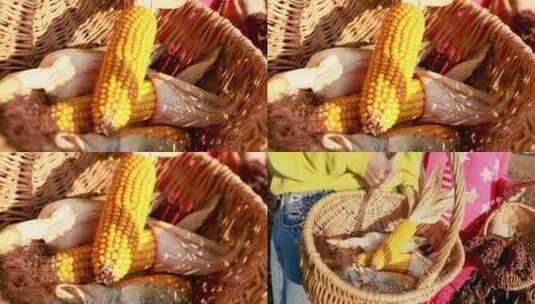 玉米和高粱高清在线视频素材下载