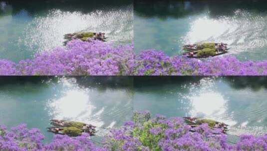 蓝花楹花昆明绿洲绿植船只江景高清在线视频素材下载