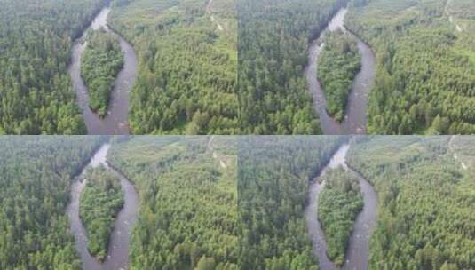 森林河航拍 4k视频高清在线视频素材下载