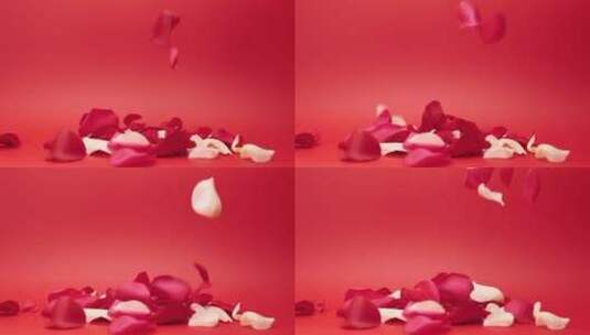 玫瑰花瓣高清在线视频素材下载