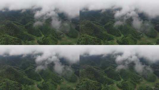 自然风光山间雨后云雾缭绕航拍高清在线视频素材下载