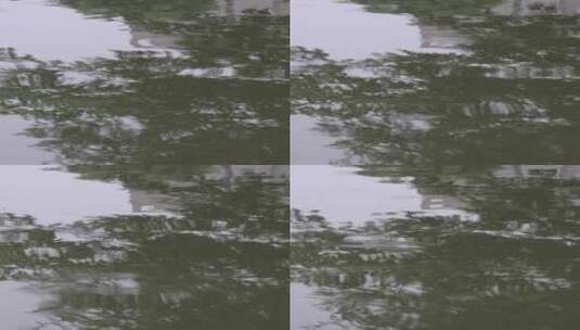 水中树叶的倒影高清在线视频素材下载