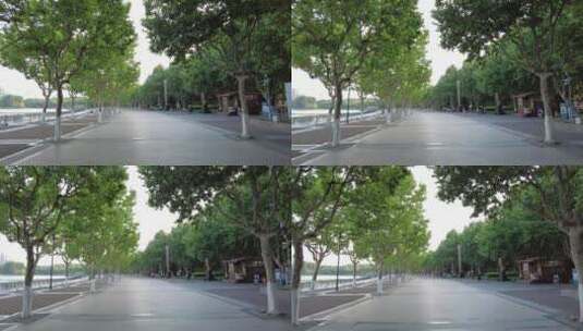 上海世纪公园上海世纪广场4K实拍高清在线视频素材下载
