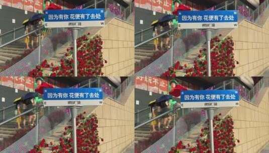 济南商场浪漫拍照装置，玫瑰瀑布高清在线视频素材下载