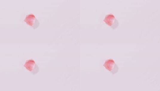 粉色玫瑰花瓣飘浮在水面高清在线视频素材下载