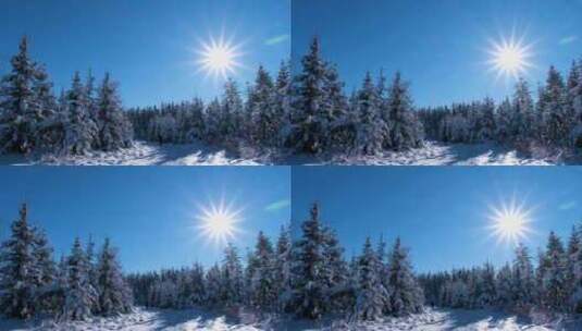 雾凇 冬景 阳光照射树林高清在线视频素材下载