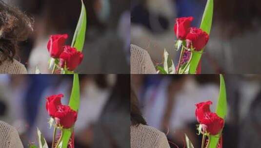 街头上收到两朵玫瑰的女生高清在线视频素材下载