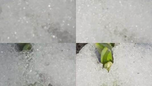 冰雪融化 冰雪消融高清在线视频素材下载