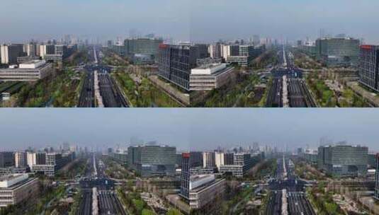 杭州未来科技城文一西路通往春天的樱花大道高清在线视频素材下载