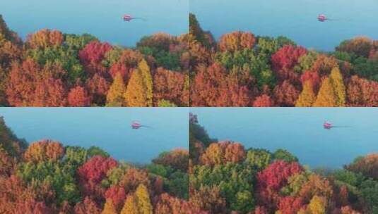 长沙烈士公园最美秋色航拍视频高清在线视频素材下载