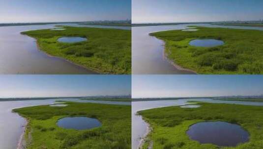 杭州钱塘大湾区湿地公园航拍视频高清在线视频素材下载