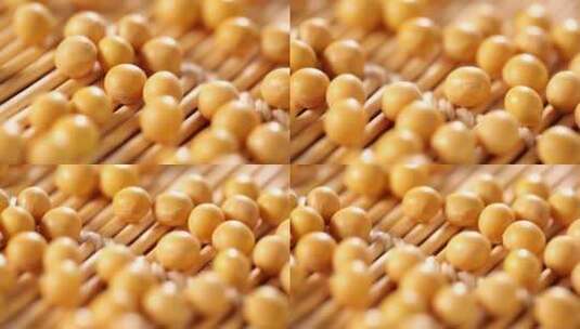 豆子黄豆大豆粗粮水发黄豆高清在线视频素材下载