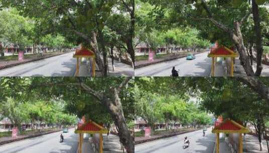 菠萝蜜挂满枝头的瑞丽市街道高清在线视频素材下载