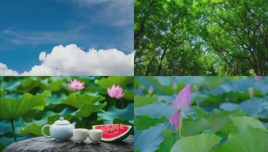 夏天夏日夏季阳光夏至小暑大暑池塘边风景高清在线视频素材下载