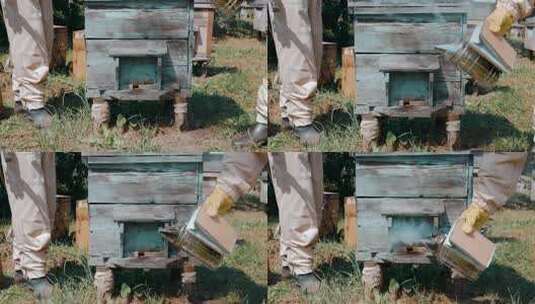 养蜂人烟熏蜜蜂箱高清在线视频素材下载