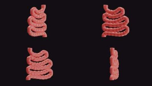 小肠 3d 动画高清在线视频素材下载