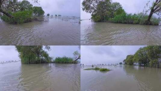 自然生态湿地 湖水湿地 黄河长江 浑浊湖水高清在线视频素材下载