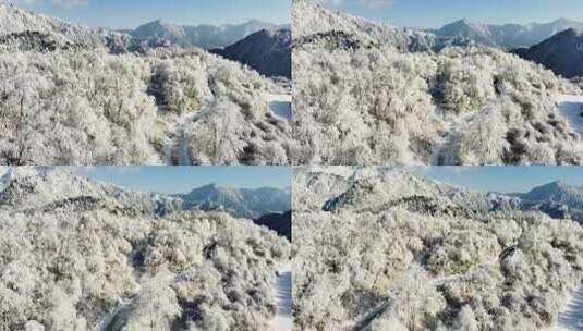 西岭雪山 雪景 大雪覆盖的自然风光 航拍高清在线视频素材下载