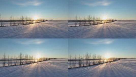 航拍雪后垦区田野夕阳高清在线视频素材下载