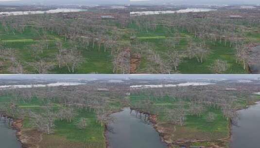 田野树林河流鸟瞰景象高清在线视频素材下载