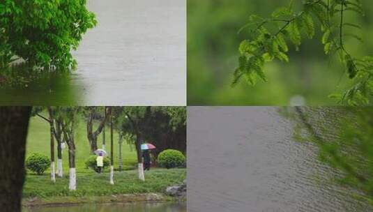 春雨、淅淅沥沥的小雨高清在线视频素材下载