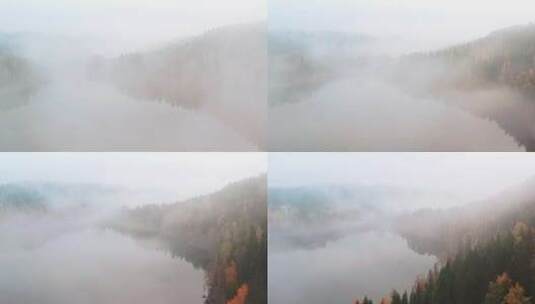 雾气缭绕的森林河流高清在线视频素材下载
