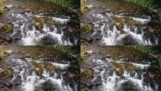 顺着岩石的河流高清在线视频素材下载