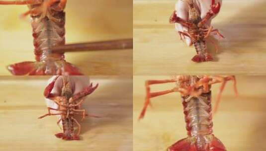 【镜头合集】红壳白肚净水小龙虾高清在线视频素材下载