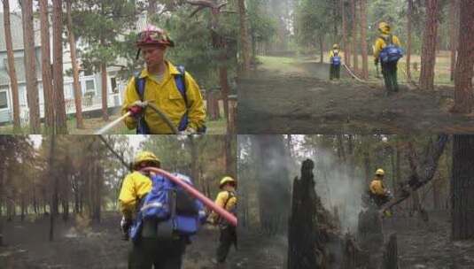 消防队员打扫森林火灾现场高清在线视频素材下载
