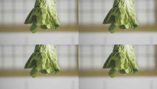 青菜产品展示旋转视频升格镜头高清在线视频素材下载