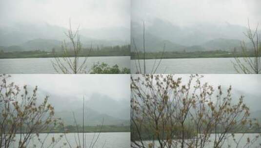 富春江江南水乡风景视频高清在线视频素材下载