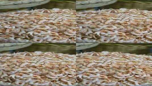 农家自制虾皮虾米虾尾海产品4k特写高清在线视频素材下载