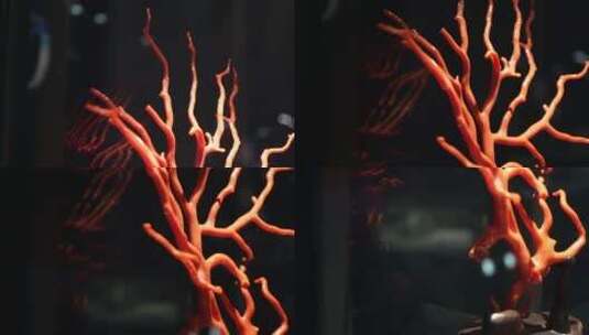 红珊瑚珠宝昂贵高清在线视频素材下载