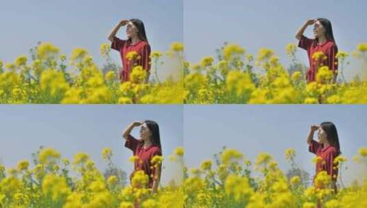 春天中国女性美女在油菜花田地中玩耍高清在线视频素材下载