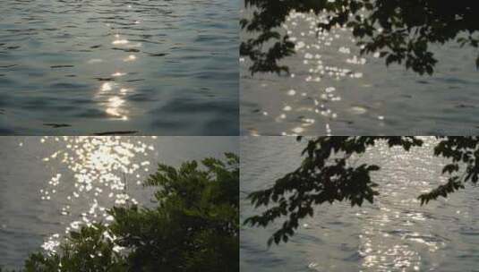 波光粼粼水中阳光剪影光影意境美高清在线视频素材下载