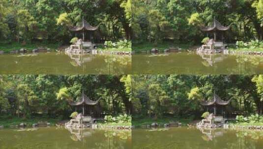 深圳园博园亭子建筑古代亭子唯美的公园景观高清在线视频素材下载