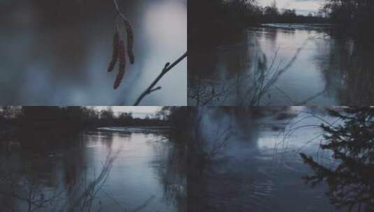 寒冷冬季森林河水枯木野鸭高清在线视频素材下载