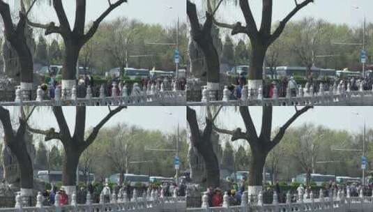 北京什刹海春天风景绿色可调色高清在线视频素材下载
