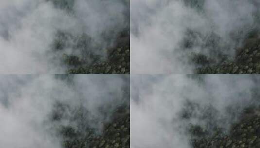 森林雾气 迷雾森林上空高清在线视频素材下载