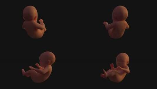 婴儿的三维模型高清在线视频素材下载