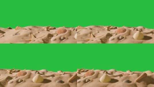 在沙滩上的贝壳海星高清在线视频素材下载