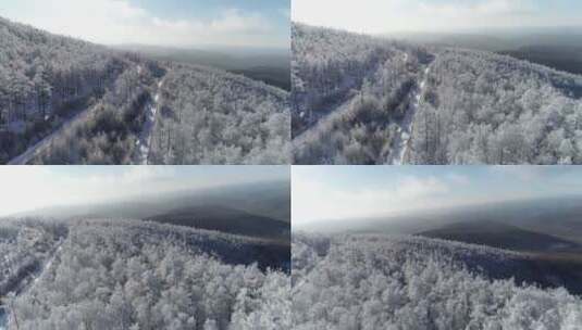 零下40度的低温航拍大兴安岭冰雪雾凇高清在线视频素材下载