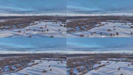 航拍4K湿地雪景树林高清在线视频素材下载
