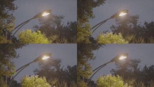城市路灯 路灯空镜高清在线视频素材下载