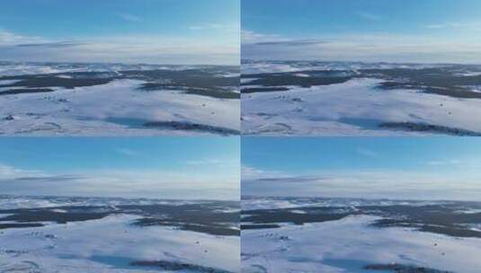 航拍呼伦贝尔生长樟子松的雪原高清在线视频素材下载