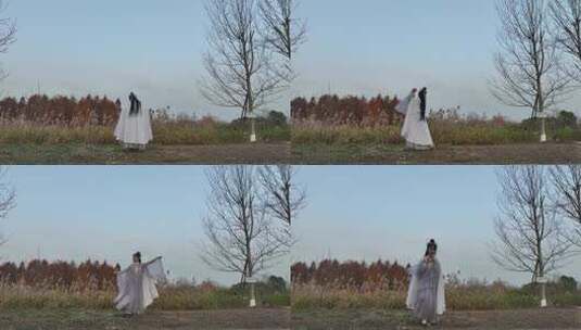 古装舞蹈汉服妹妹美女姐姐湿地公园剧情短片高清在线视频素材下载